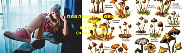 альфа пвп VHQ Богданович