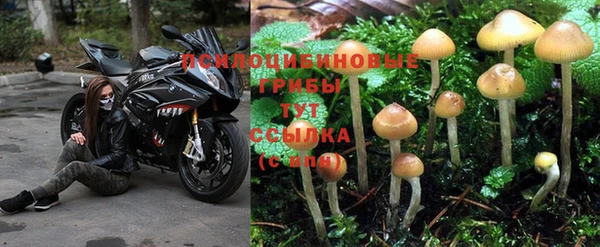 МДМА Богородицк