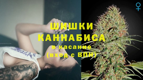 хмурый Пересвет